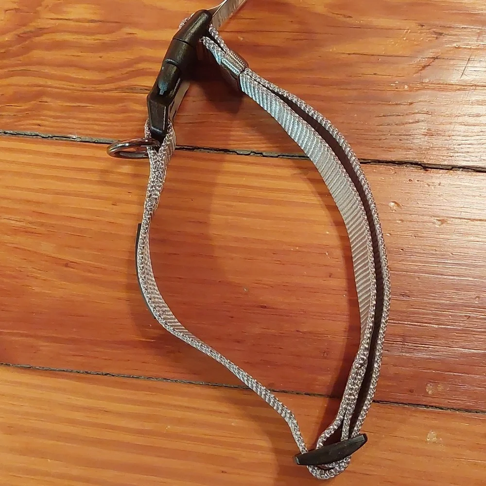 Nylon Dog Collar
